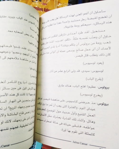 يوليوس قيصر - الصورة 5