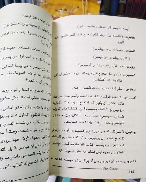 يوليوس قيصر - الصورة 6