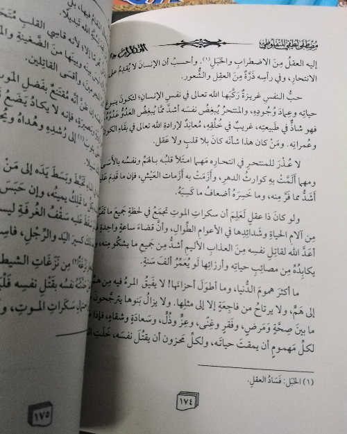 النظرات (3 أجزاء) - الصورة 5