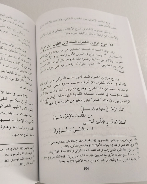 الشروح الأدبية في المغرب في عهد الدولة العلوية - الصورة 3