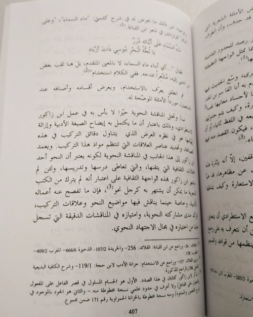 الشروح الأدبية في المغرب في عهد الدولة العلوية - الصورة 5