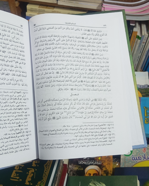 كتاب الشفا بتعريف حقوق المصطفى - الصورة 3